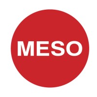 Meso Pvt Ltd